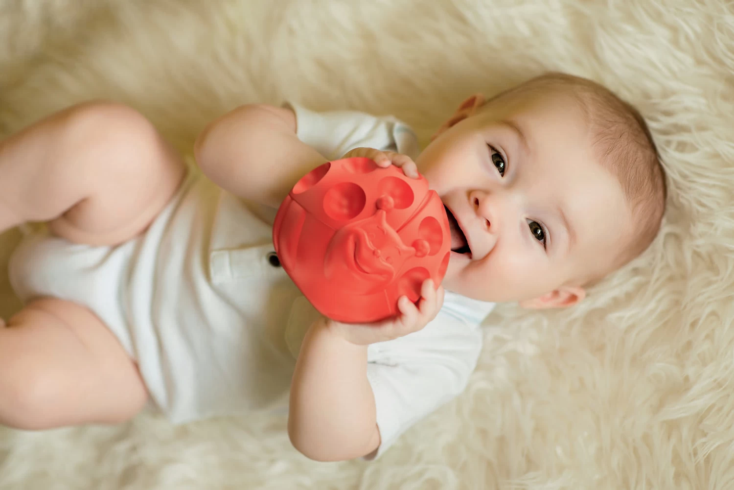 Clementoni Baby Sensorische Bälle - Tiere 2 Clementoni Baby Sensorische Bälle - Tiere – Bild 2