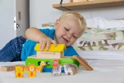 EverEarth Kleine Arche Noah -BabyTraum Deutschland Verkaufs-Shop everearth kleine arche noah 3